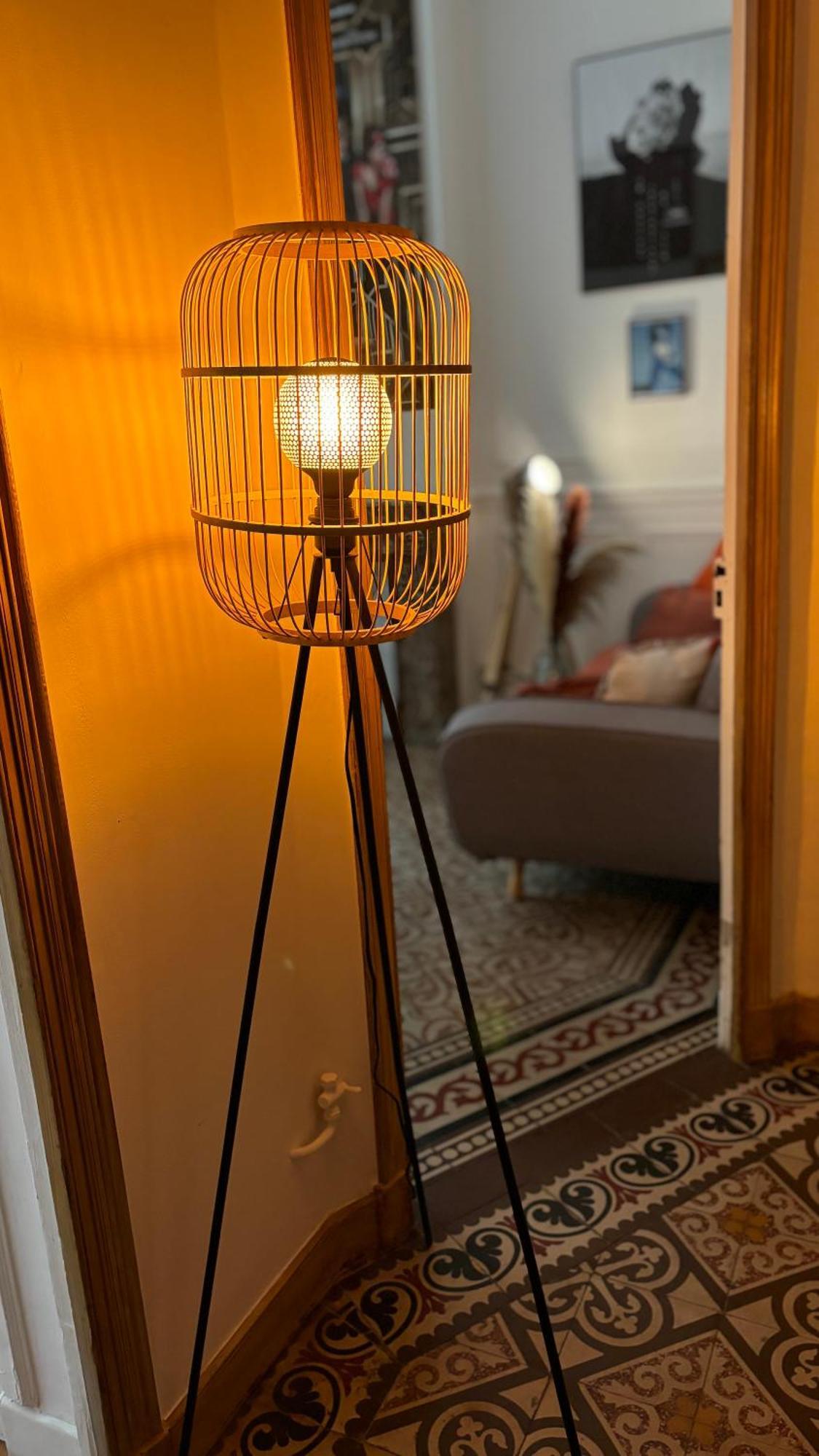- Proche Croisette Avec Jardin Appartement