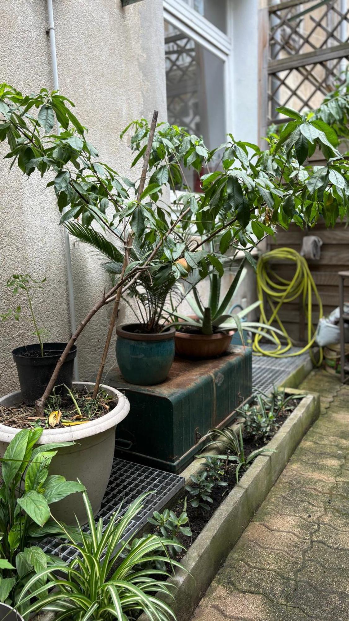 Apartment - Centre-ville Avec Jardin *
